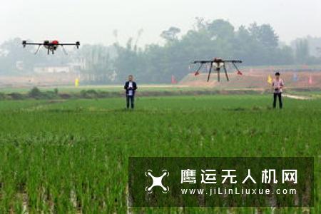 90后、95后、00后，中国农业的无人机飞手们来了
