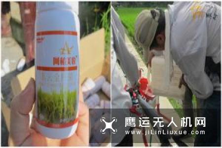 珠海羽人水稻精量直播 助力河南省2019年水稻生产机械化