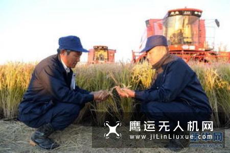 珠海羽人水稻精量直播 助力河南省2019年水稻生产机械化